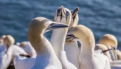 高价上海医保提取2025的最新政策(2025年上海医保怎么提取现金分享)