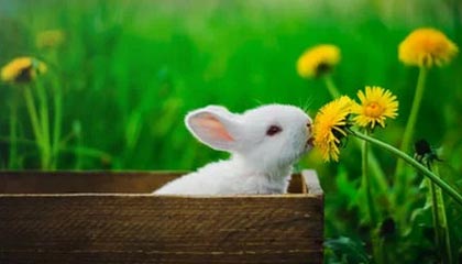 高价上海医保提取2025的最新政策(2025年上海医保怎么提取现金分享)